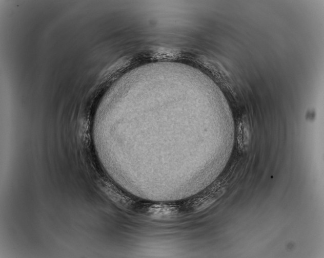 X0000098010714200804181135