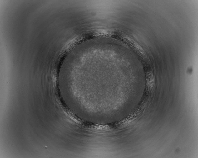 X0000098010716200804181135