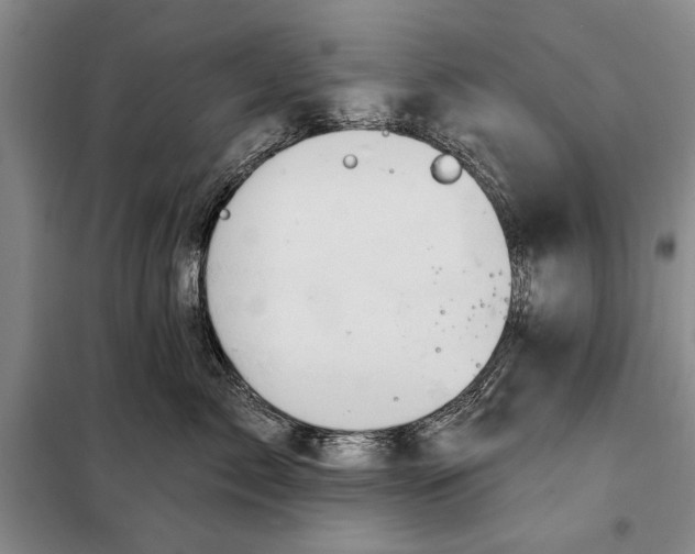 X0000098010717200804181135