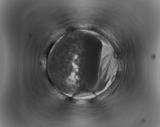 X0000098010718200804181135