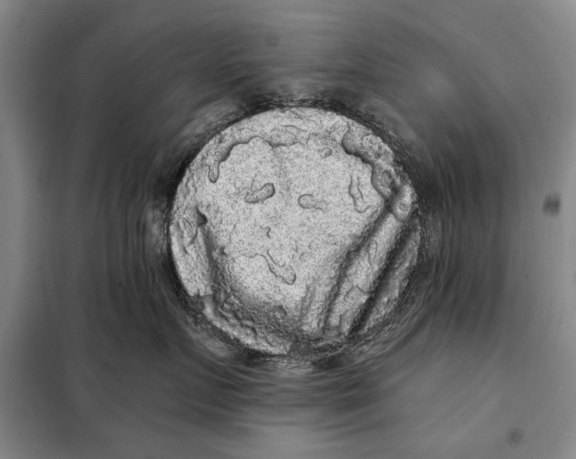 X0000098010719200804181135