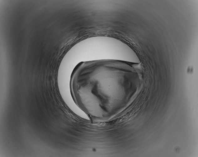 X0000098010720200804181135