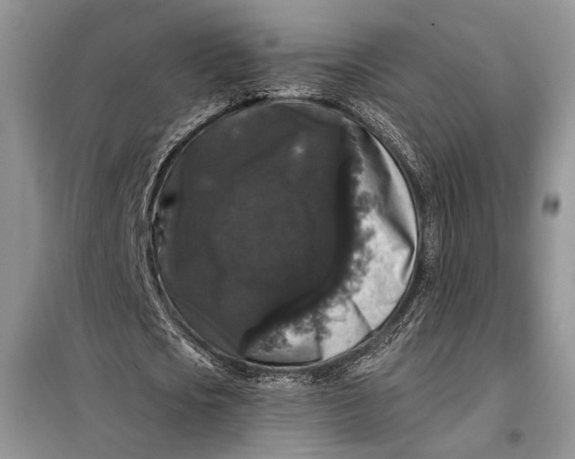 X0000098010721200804181134