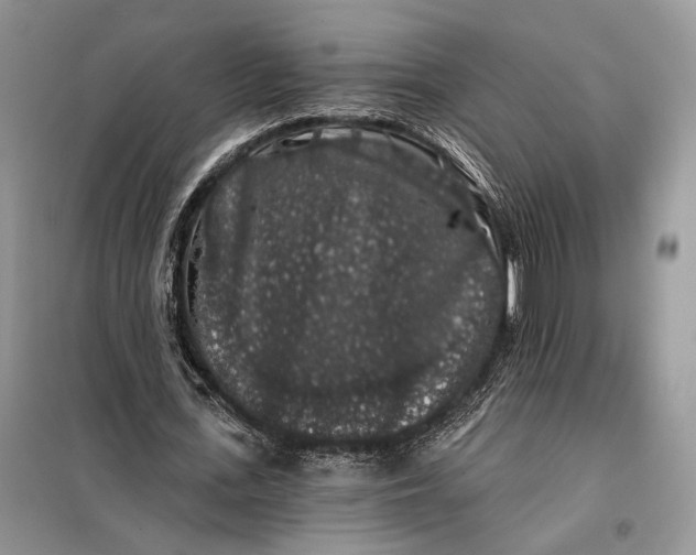 X0000098010723200804181134