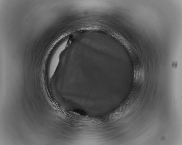 X0000098010724200804181134