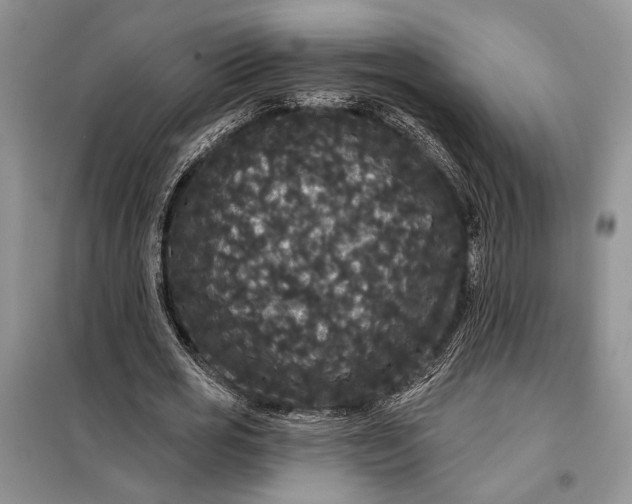 X0000098010725200804181134