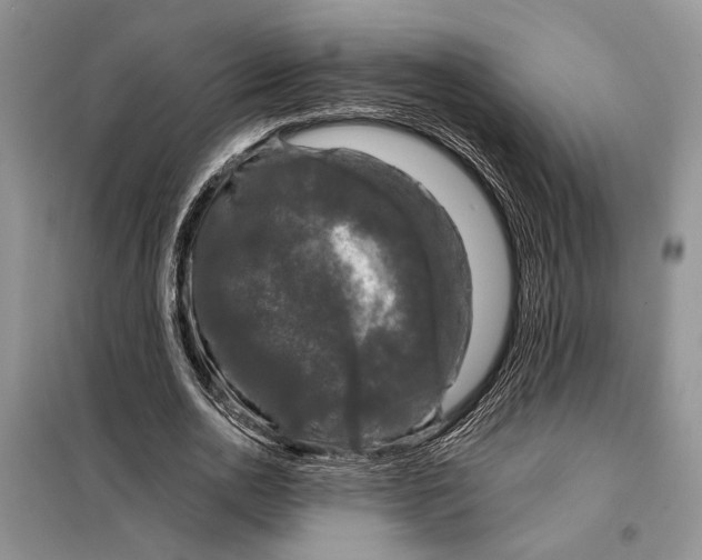 X0000098010726200804181134