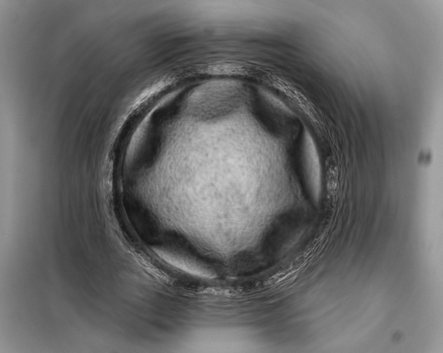 X0000098010727200804181134