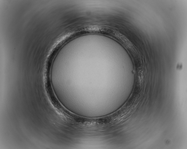 X0000098010728200804181134