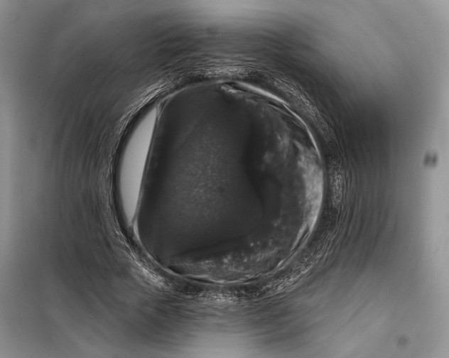 X0000098010729200804181134