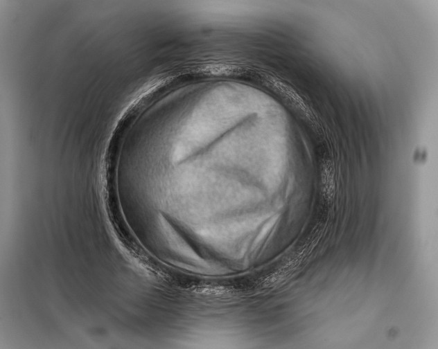 X0000098010730200804181134