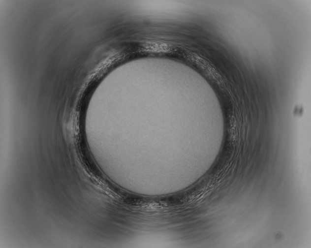 X0000098010731200804181134