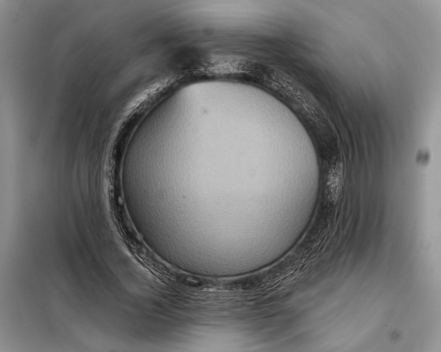 X0000098010732200804181134