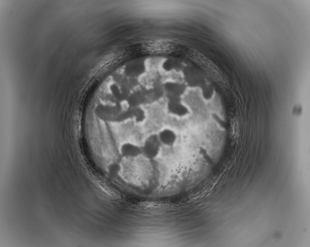 X0000098010733200804181134