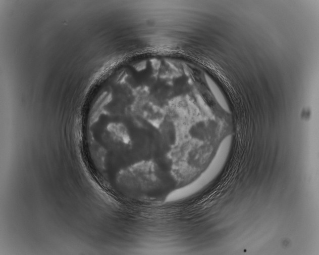 X0000098010734200804181134