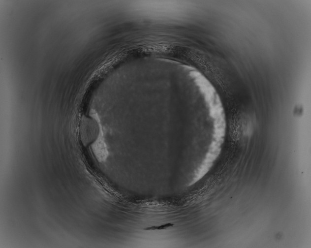 X0000098010735200804181134