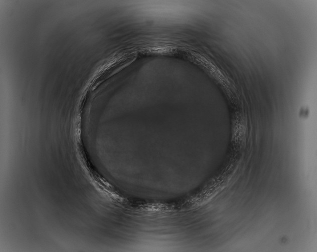 X0000098010736200804181134