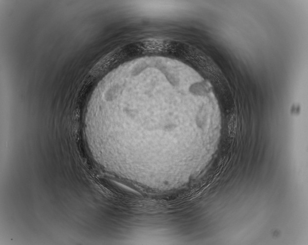 X0000098010737200804181134