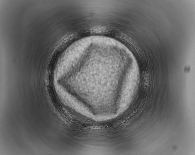 X0000098010738200804181134