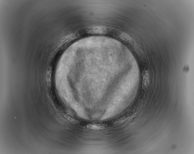 X0000098010739200804181134