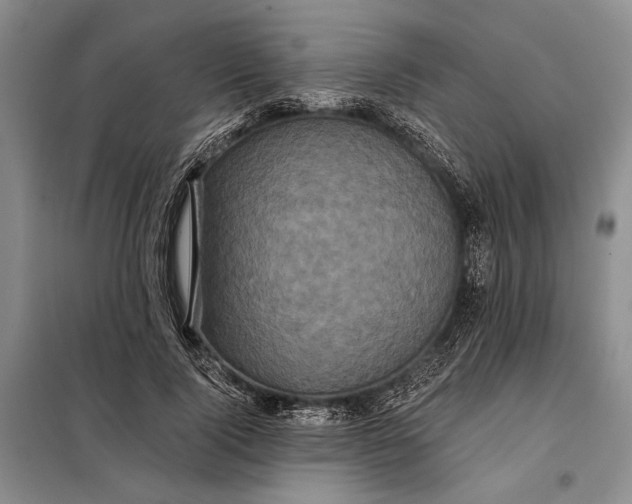 X0000098010740200804181134