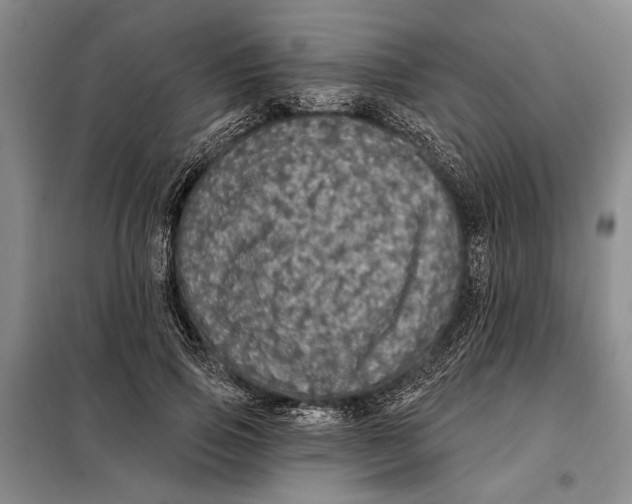 X0000098010741200804181134