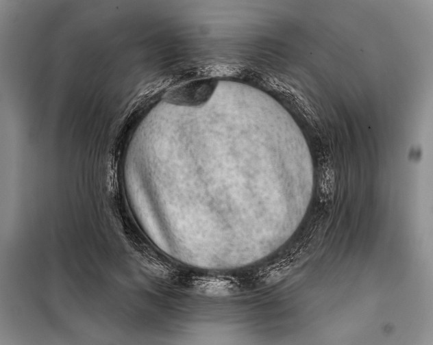 X0000098010743200804181134