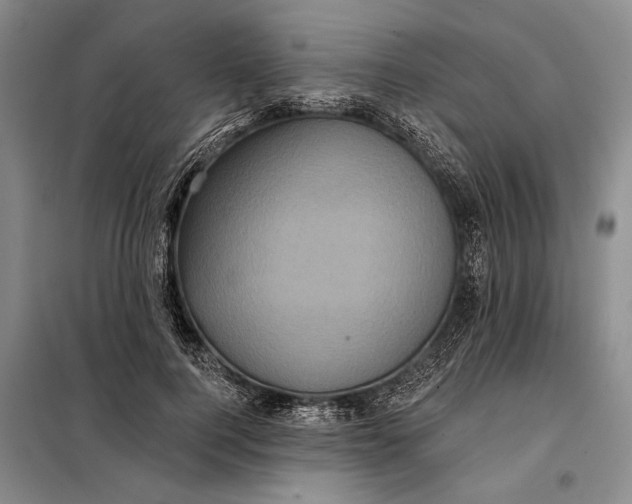 X0000098010744200804181134