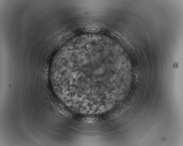 X0000098010745200804181134