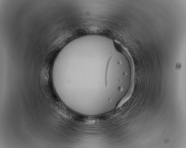 X0000098010746200804181134