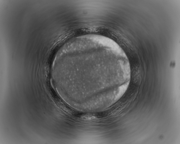 X0000098010747200804181135