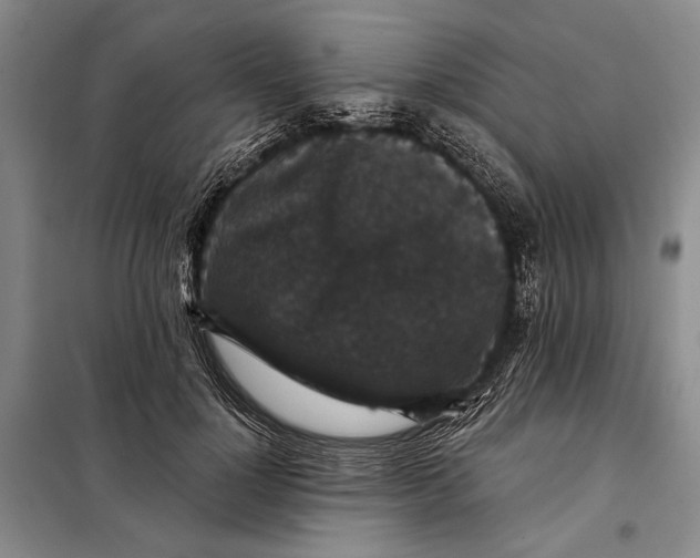 X0000098010748200804181135