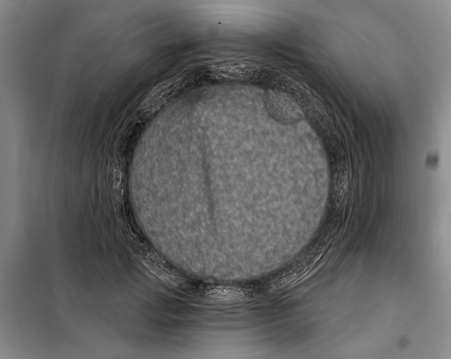 X0000098010749200804181135