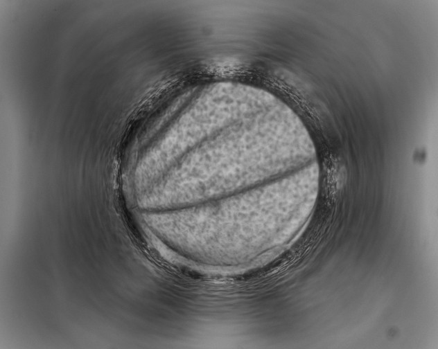 X0000098010750200804181135