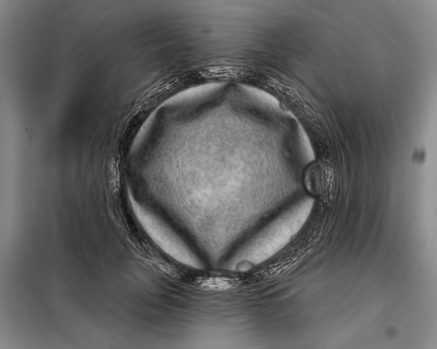 X0000098010751200804181135