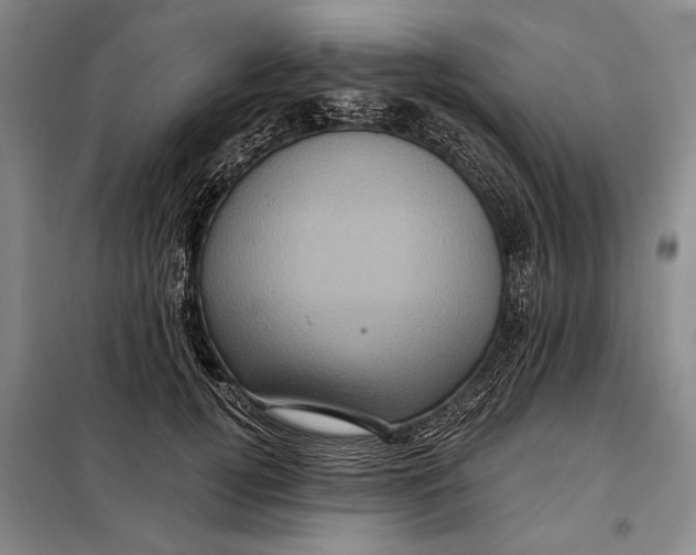 X0000098010752200804181135