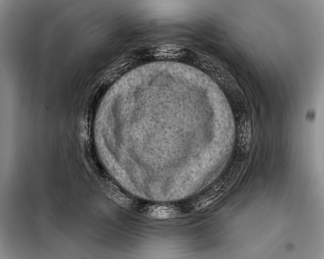 X0000098010755200804181135