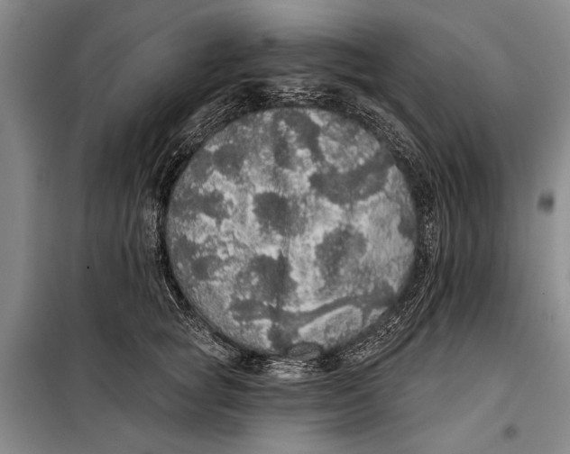 X0000098010757200804181135