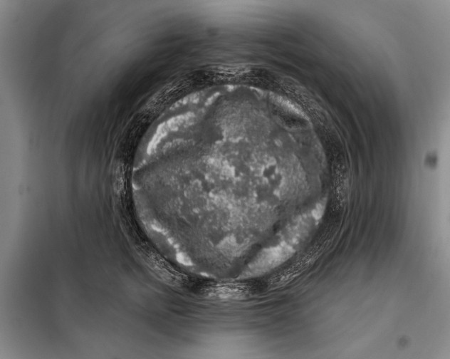 X0000098010758200804181135