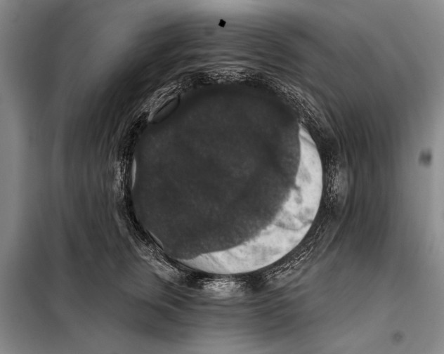 X0000098010759200804181135