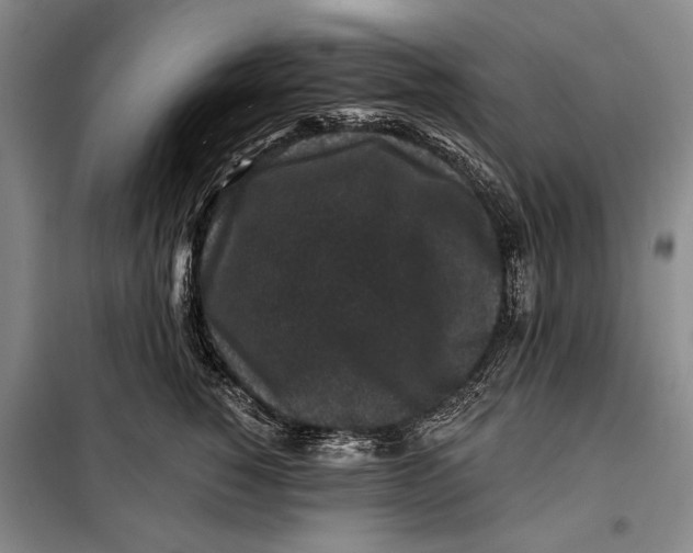 X0000098010760200804181135