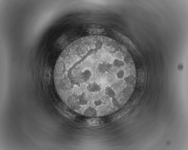 X0000098010761200804181135