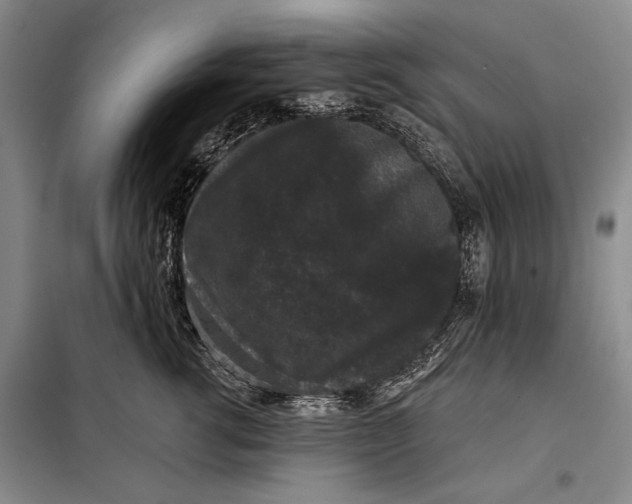 X0000098010762200804181135