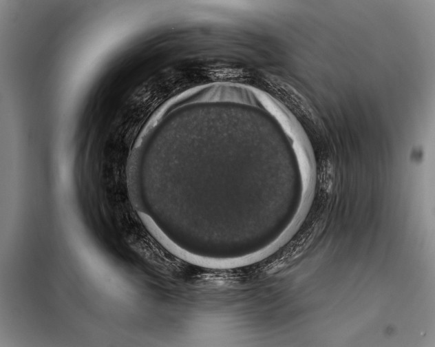 X0000098010763200804181135