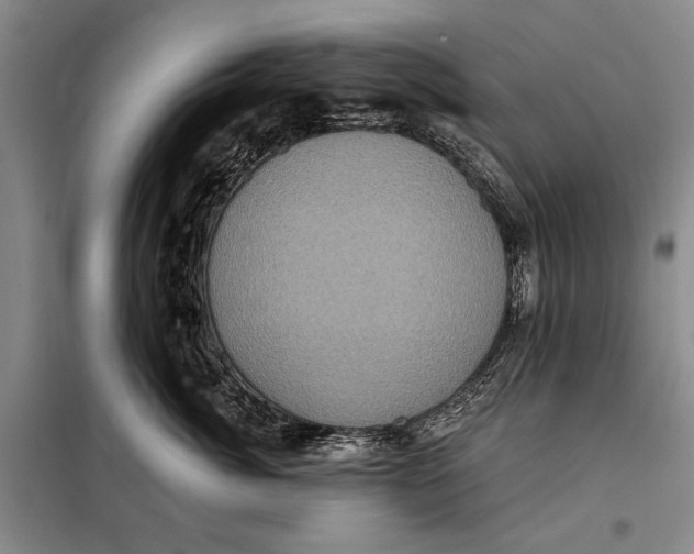 X0000098010764200804181135