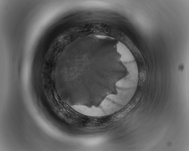 X0000098010765200804181135