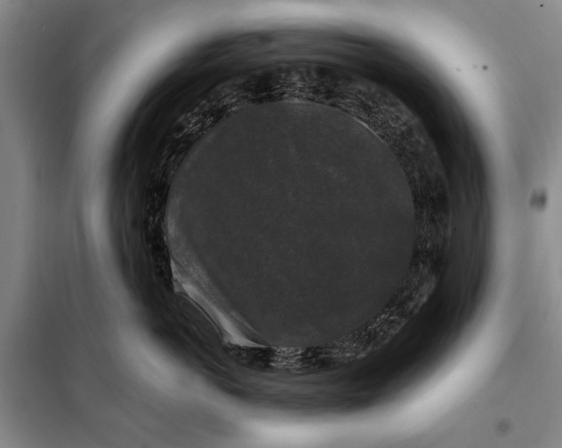 X0000098010766200804181135