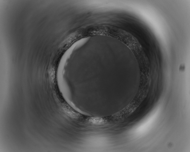 X0000098010767200804181135