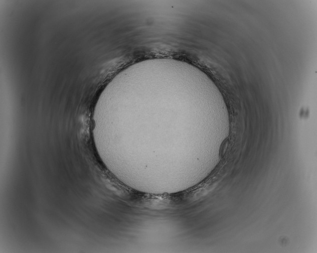 X0000098010768200804181135