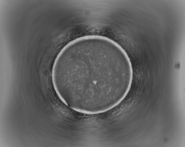 X0000098010769200804181134